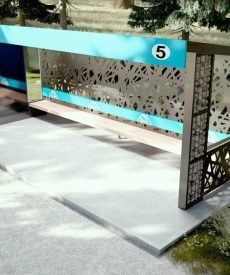 PHOTO-2023-08-17-17-49-50_1